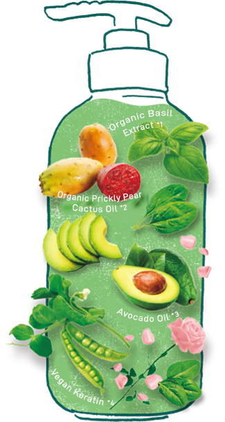 Damage Repair Healthy Superfoods