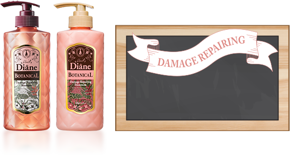 Damage Repairing
