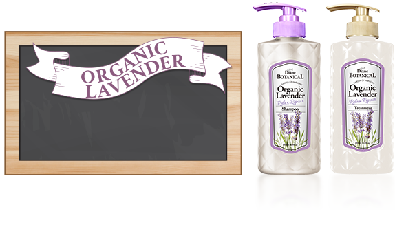 Organic Lavender