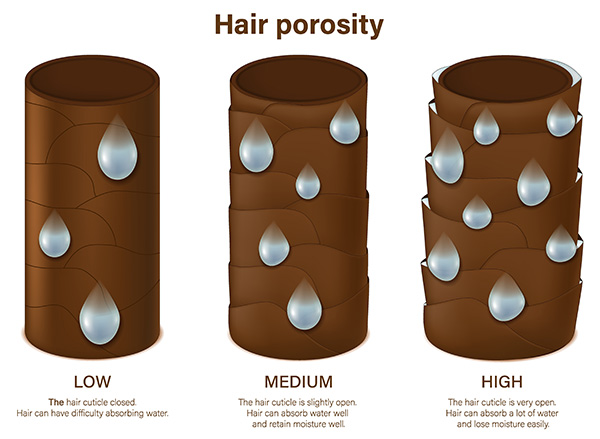 Hair Porosity Diagram Low Porosity Medium Porosity High Porosity