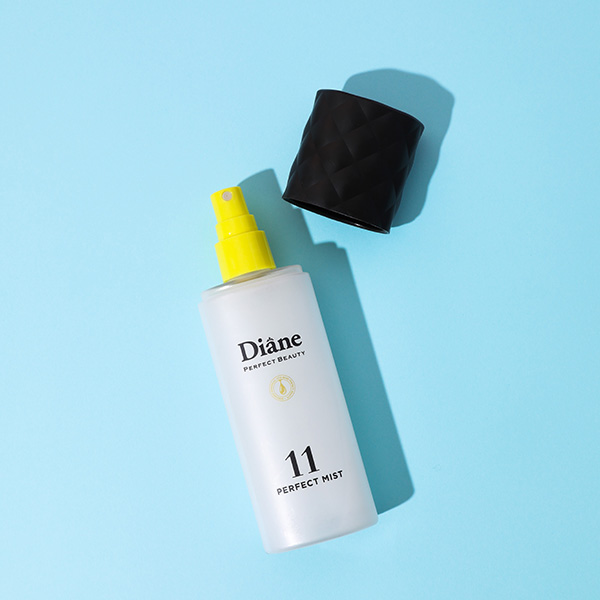 Diane Perfect Mist Leave In Product
