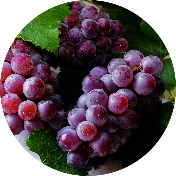 Grapes Image