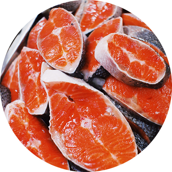Salmon Image